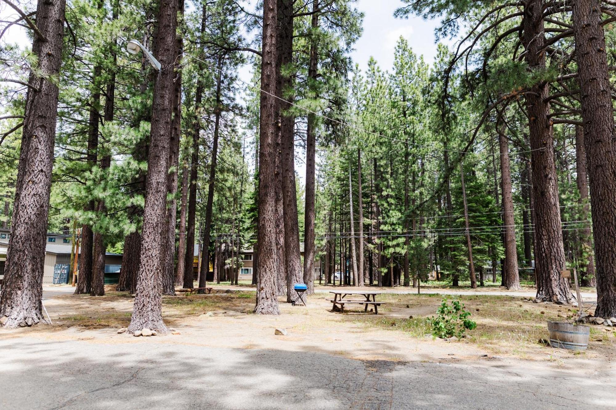 The Washoe Lodge South Lake Tahoe Extérieur photo